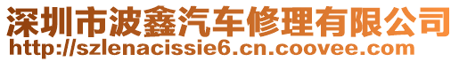深圳市波鑫汽車修理有限公司