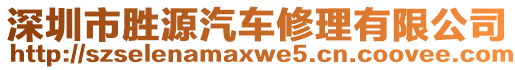 深圳市勝源汽車修理有限公司