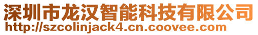 深圳市龍漢智能科技有限公司