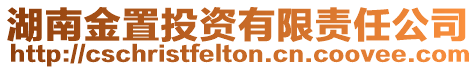 湖南金置投資有限責任公司