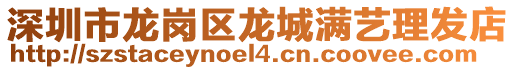 深圳市龍崗區(qū)龍城滿藝?yán)戆l(fā)店