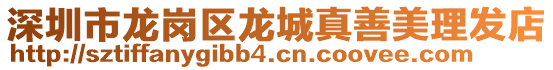 深圳市龍崗區(qū)龍城真善美理發(fā)店