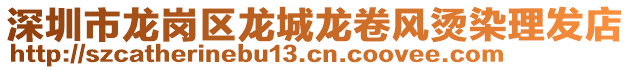 深圳市龍崗區(qū)龍城龍卷風燙染理發(fā)店