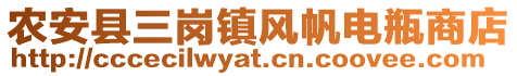 農(nóng)安縣三崗鎮(zhèn)風(fēng)帆電瓶商店