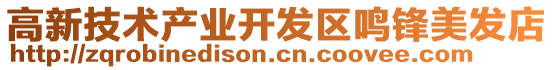 高新技術(shù)產(chǎn)業(yè)開發(fā)區(qū)鳴鋒美發(fā)店