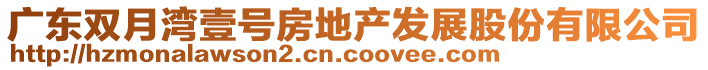 廣東雙月灣壹號(hào)房地產(chǎn)發(fā)展股份有限公司