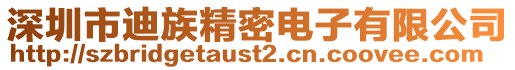 深圳市迪族精密電子有限公司
