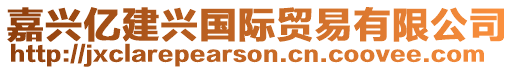嘉興億建興國際貿易有限公司