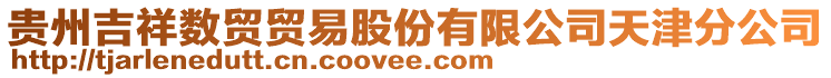 貴州吉祥數貿貿易股份有限公司天津分公司