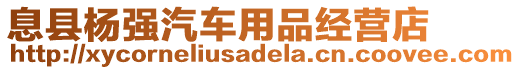 息縣楊強(qiáng)汽車用品經(jīng)營店