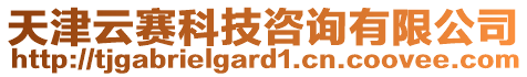 天津云賽科技咨詢有限公司