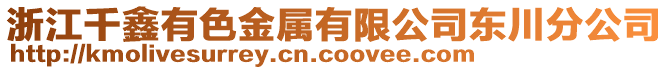 浙江千鑫有色金屬有限公司東川分公司