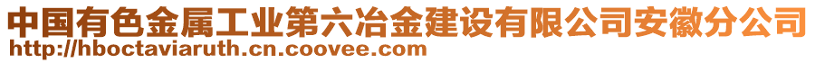 中國(guó)有色金屬工業(yè)第六冶金建設(shè)有限公司安徽分公司