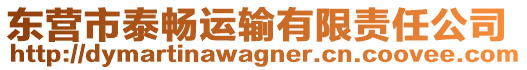 東營市泰暢運(yùn)輸有限責(zé)任公司