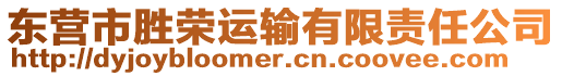 東營市勝榮運輸有限責任公司