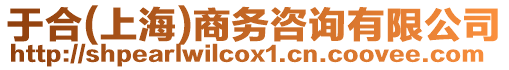 于合(上海)商務(wù)咨詢有限公司