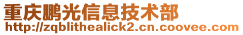 重慶鵬光信息技術部