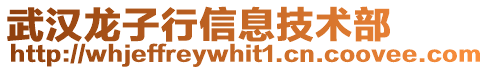 武漢龍子行信息技術部