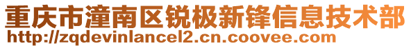 重慶市潼南區(qū)銳極新鋒信息技術(shù)部