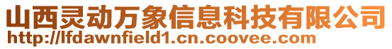 山西靈動萬象信息科技有限公司