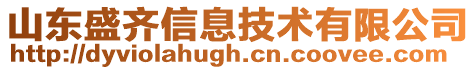 山东盛齐信息技术有限公司