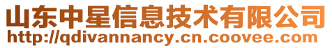 山東中星信息技術有限公司