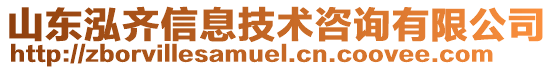 山東泓齊信息技術(shù)咨詢有限公司