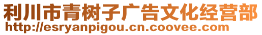 利川市青樹子廣告文化經(jīng)營(yíng)部