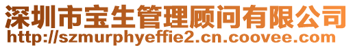 深圳市寶生管理顧問(wèn)有限公司