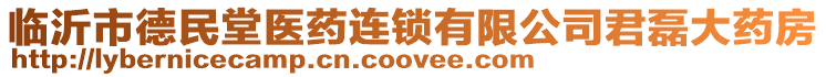 臨沂市德民堂醫藥連鎖有限公司君磊大藥房