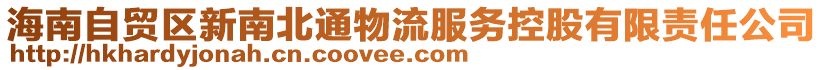 海南自貿(mào)區(qū)新南北通物流服務(wù)控股有限責(zé)任公司