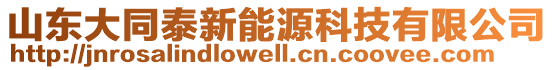 山東大同泰新能源科技有限公司