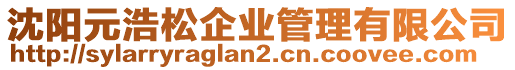 沈陽元浩松企業管理有限公司