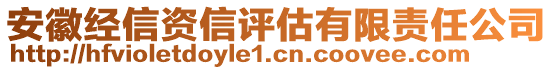 安徽經(jīng)信資信評估有限責(zé)任公司