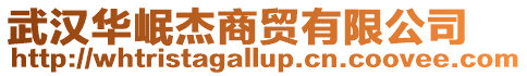武漢華岷杰商貿有限公司
