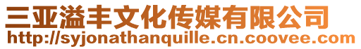 三亞溢豐文化傳媒有限公司