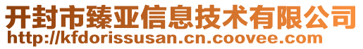 开封市臻亚信息技术有限公司