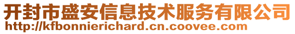 开封市盛安信息技术服务有限公司