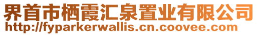 界首市棲霞匯泉置業(yè)有限公司