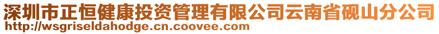 深圳市正恒健康投資管理有限公司云南省硯山分公司