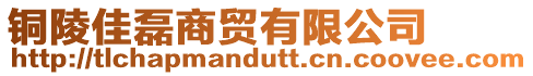 銅陵佳磊商貿有限公司