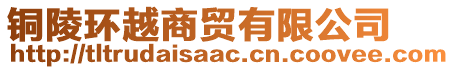 銅陵環(huán)越商貿(mào)有限公司