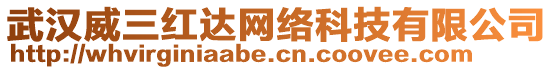 武漢威三紅達(dá)網(wǎng)絡(luò)科技有限公司