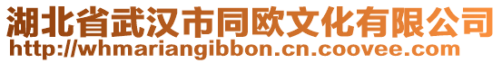湖北省武漢市同歐文化有限公司