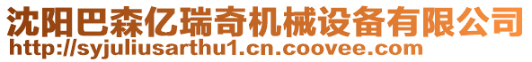 沈陽(yáng)巴森億瑞奇機(jī)械設(shè)備有限公司