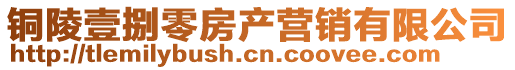 銅陵壹捌零房產(chǎn)營銷有限公司