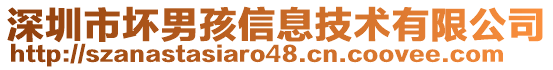 深圳市壞男孩信息技術(shù)有限公司