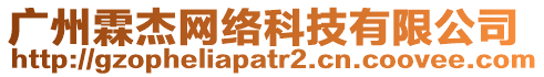 廣州霖杰網(wǎng)絡(luò)科技有限公司