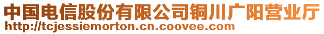 中國(guó)電信股份有限公司銅川廣陽(yáng)營(yíng)業(yè)廳