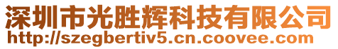 深圳市光勝輝科技有限公司